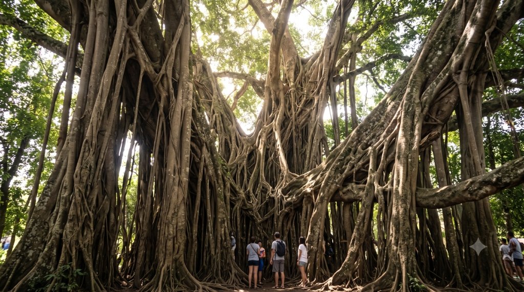 Millennium Tree (Ronquillo Balete Tree)